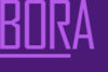 bora-casino logo