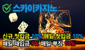 스카이카지노