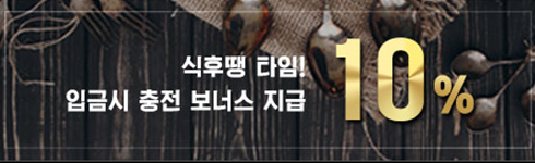 맥스카지노